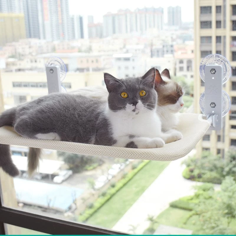 Cute Cat Window Bed Hammock ON702 1 Cute Cat Window Bed Hammock ON702