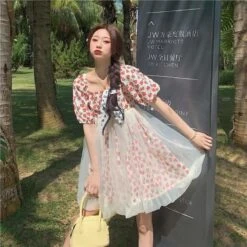 Cute Summer Flowers Gauze Fairy Dress SS1646