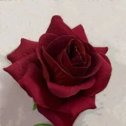 Gothic Horn Lace Red Rose Headdress Headpiece EG312 -EgrilDoll Fashion Outlet Store gothic horn lace red rose headdress headpiece eg312 415